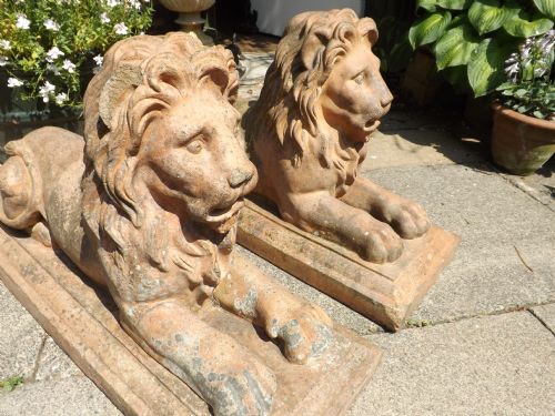 pair of c19th terracotta lions