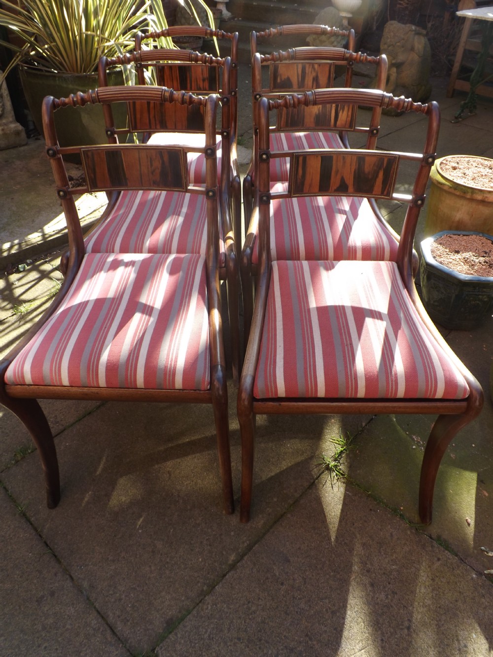 set of 6 early c19th regency period mahogany and coromandel wood sabreleg dining chairs