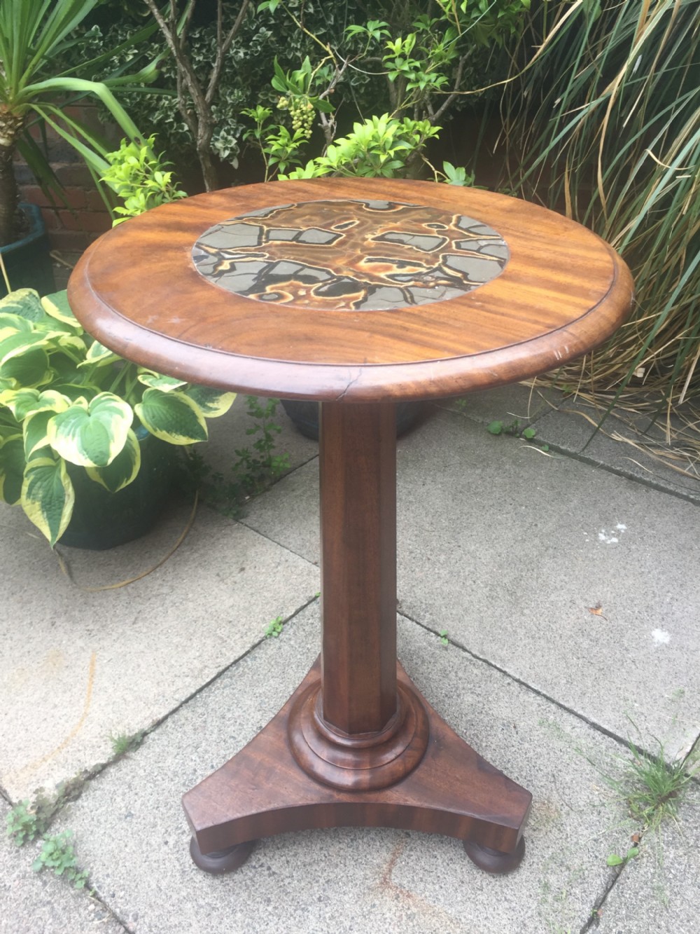 decorative c19th william iv period mahogany occasional or lamp table with rare and unusual inset specimen marble turtlestone top