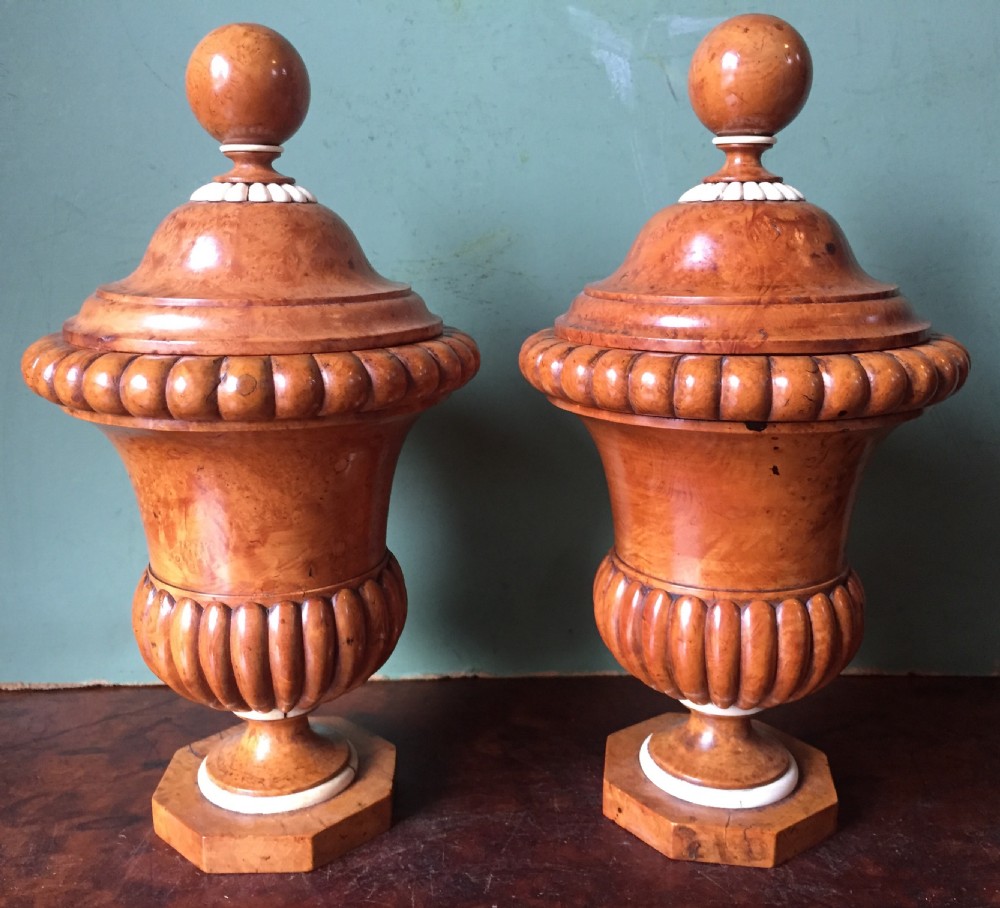 pair of mid c19th ivory mounted burr fruitwood lidded urns of classical campana design