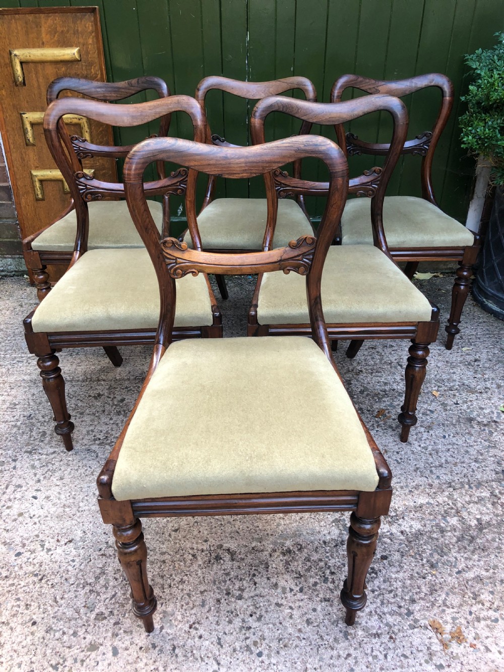 set of 6 early c19th william iv period carved rosewood dining chairs
