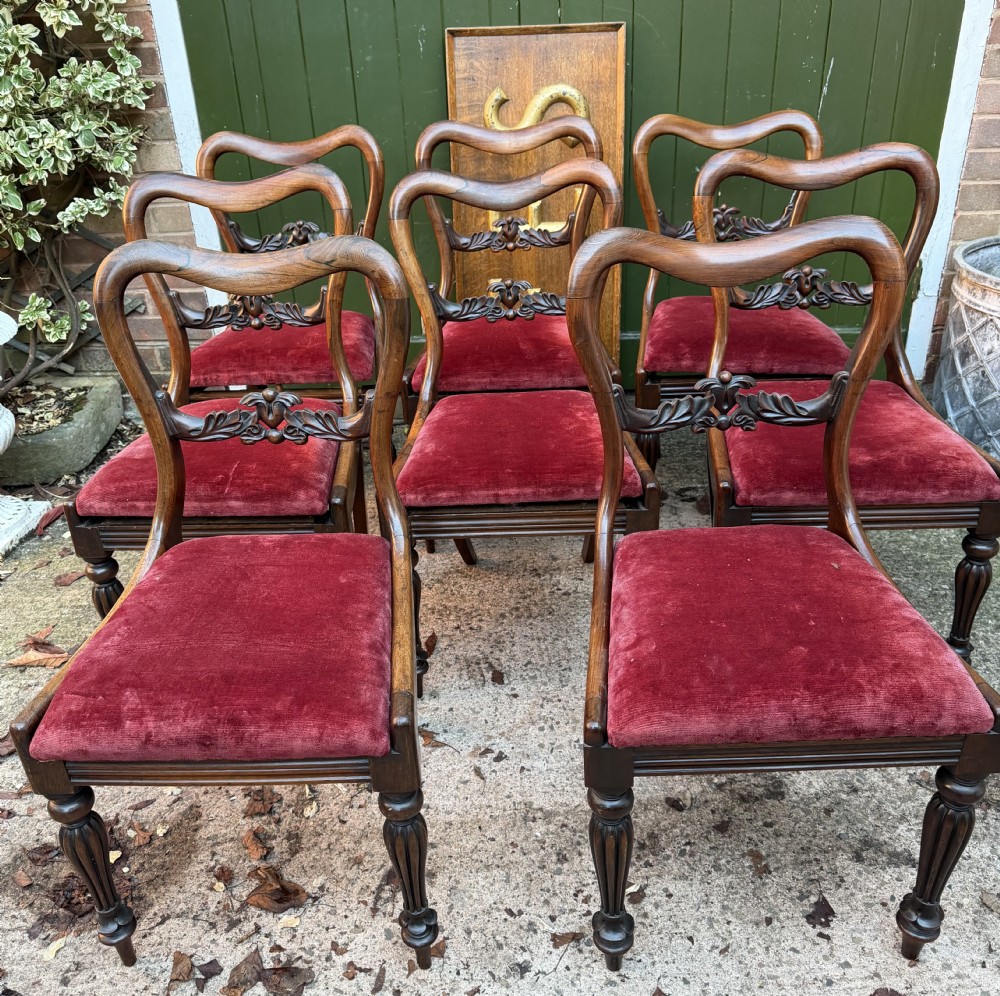 fine quality set of 8 early c19th william iv period rosewood dining chairs